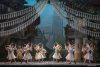 coppelia-capitole-1
