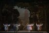 coppelia-capitole