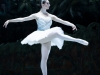 la-bayadere-ombre-Katherine-Higgins