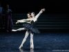 le-lac-des-cygnes-germain-louyvet-hannah-oneill