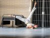 ROMEO AND JULIET by Bourne,           , Director and Choreographer - Matthew Bourne,  Designer - Let Brotherston, Lighting - Paule Constable, Rehearsal Images, Three Mills, London, 2023,  Curve Theatre,  UK, Credit: Johan Persson/