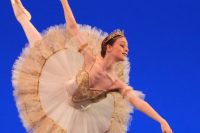 o_Amandine Thomas-libre-2