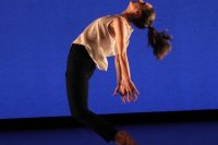 t_Chloé Guillon-composition-2