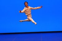 d_Taisei Jomen