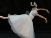 c_la-sylphide_amandine-albisson