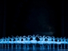 c_le-lac-des-cygnes_cygnes_3