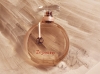 b_repetto_parfum_dorother-gilbert