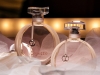 h_repetto_parfum_dorother-gilbert