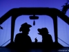 F_shadowland