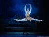 sylvia-paul-marque