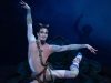 sylvia-shale-wagman-faune