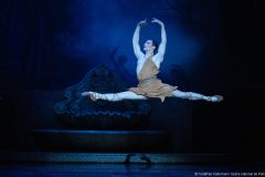 sylvia-paul-marque