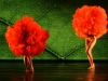 o_Viva-Momix-Forever