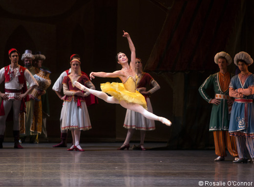 Stella Abrera in Le Corsaire. Photo: Rosalie O'Connor.