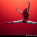 [Photos] Retour sur la soirée Soirée Hiroshi Sugimoto / William Forsythe par le Ballet de l’Opéra de Paris