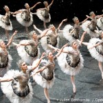 Casse-Noisette – Qui voir danser sur scène ?