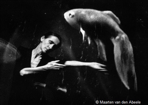 Danzon de Pina Bausch