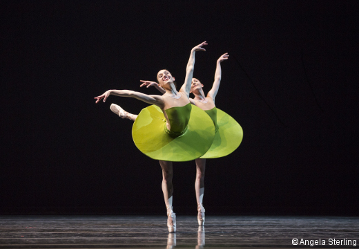 Leta Biasucci et ELisabeth Murphy-The Vertiginous Thrill of Exactitute- Willima Forsythe.