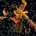 Pixel de Mourad Merzouki clôt en féérie Suresnes cités danse