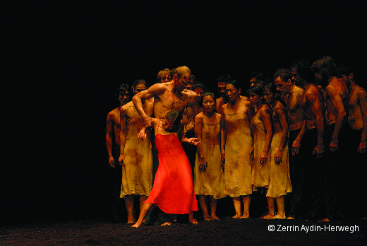 Le Sacre du printemps de Pina Bausch 