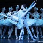 [Photos] Retour sur Le Lac des cygnes par le Ballet de l’Opéra de Paris – 7 au 31 décembre 2016
