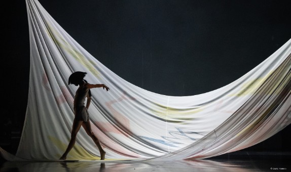 Peinture de ballet, Danseuse étoile