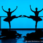 Les dix questions de la saison Danse 2022-2023